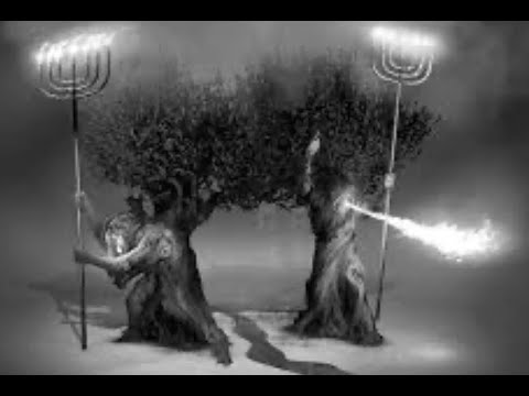 Rev 11:7 - 14 The Two Witnesses, Part 2