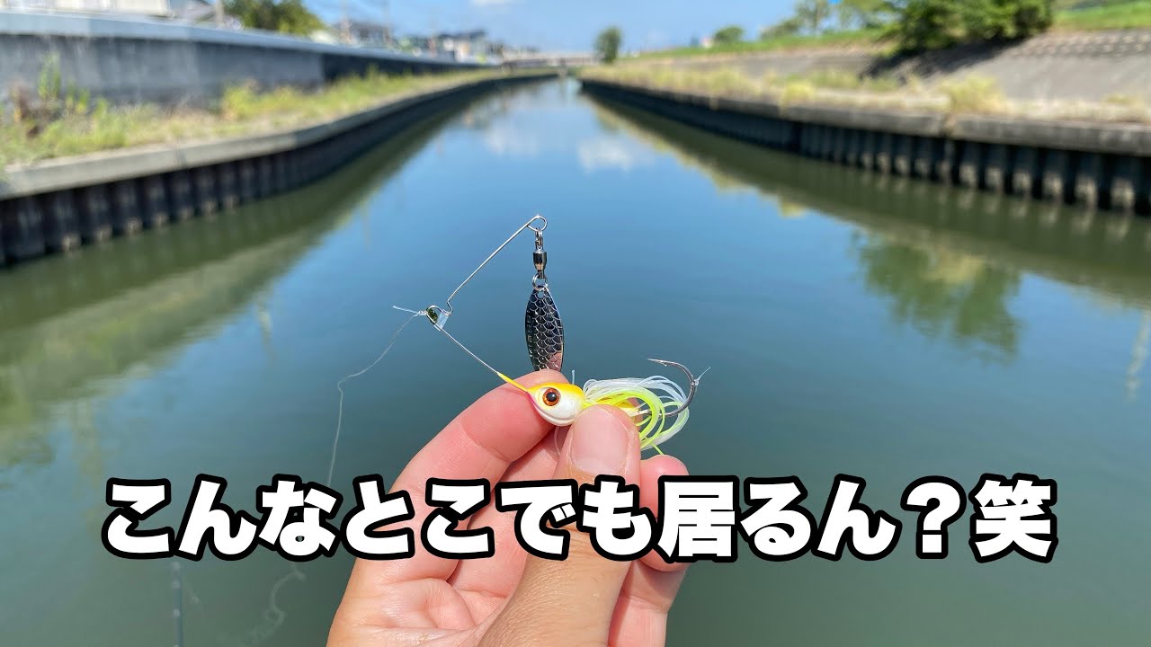 【たまに外道としてバスが釣れるポイント】で真剣にバス狙ってみた。