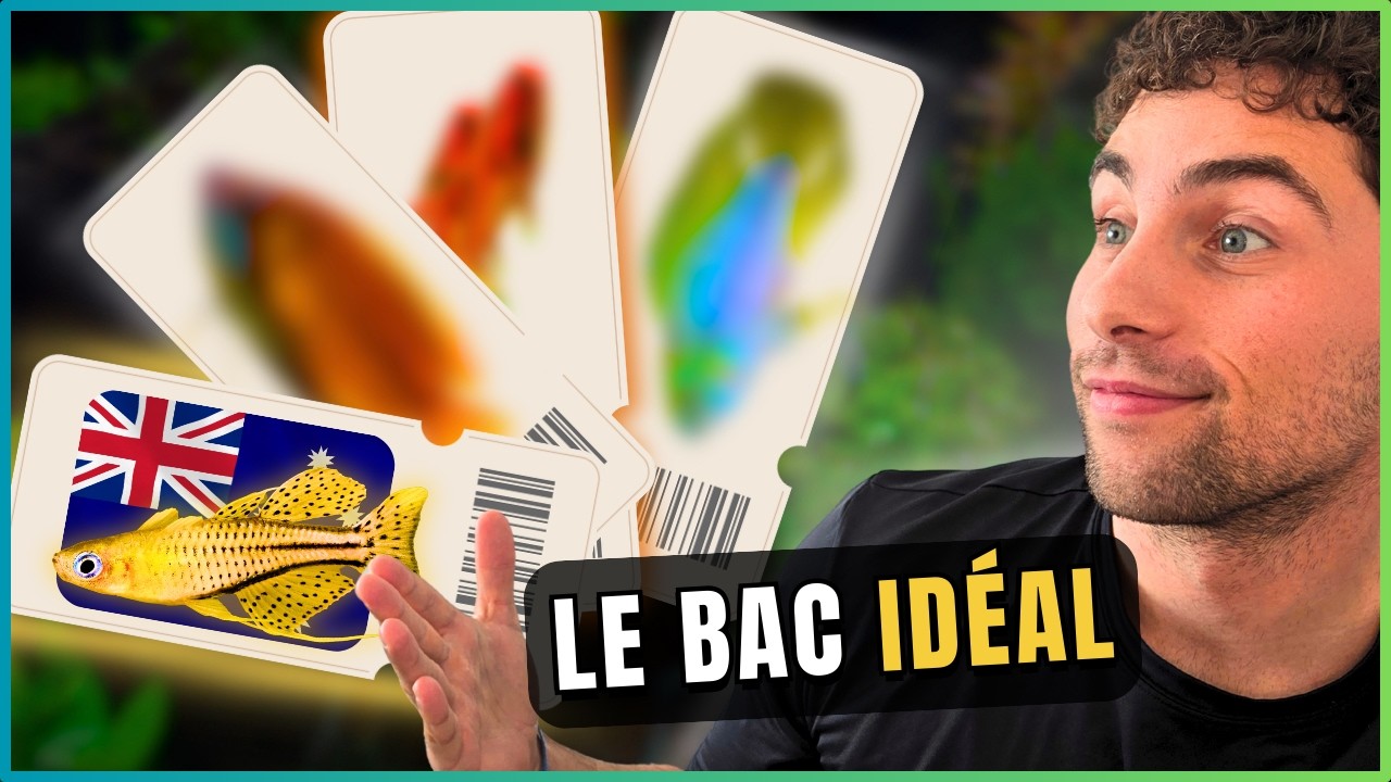 Quels poissons pour ton aquarium de 60L ? (4 idées)