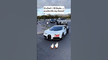 "Only 1% Can Spot the Cat… 10 Ducks Are Easy 😭🔥" #findthedifference #hiddenobjects