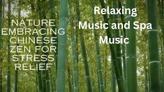Relaxing Music - Spa Music: Embracing Chinese Zen for Stress Relief?✨