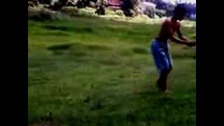 Mortal No Beija Flor