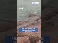 Red tide reported in Galveston, Bolivar Peninsula
