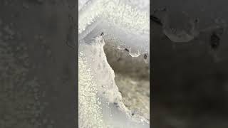 Discover The Cosmic Wonders Of The Best Agates In The World