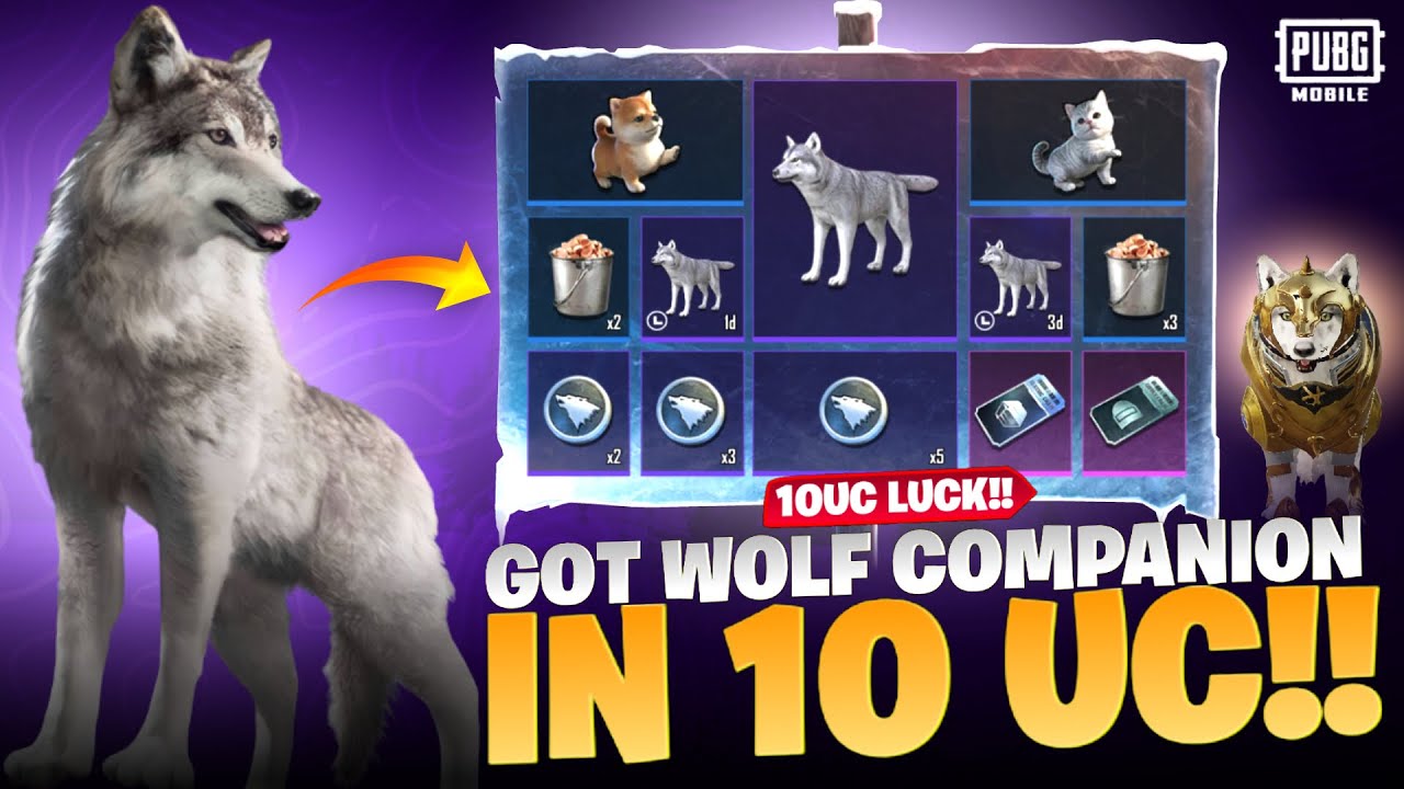 Got Wolf Companion In 10 UC Arctic Wolf Lucky Spin Cheap Spin Ever