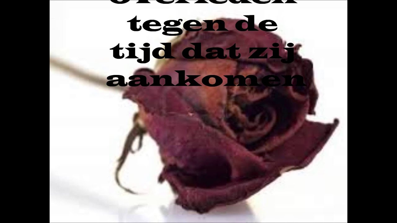 De mooiste dagen zijn het ergst - YouTube