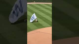 Insane walk off