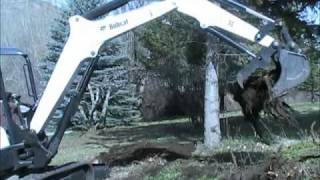 Bobcat E42 Excavator Pulling Stumps