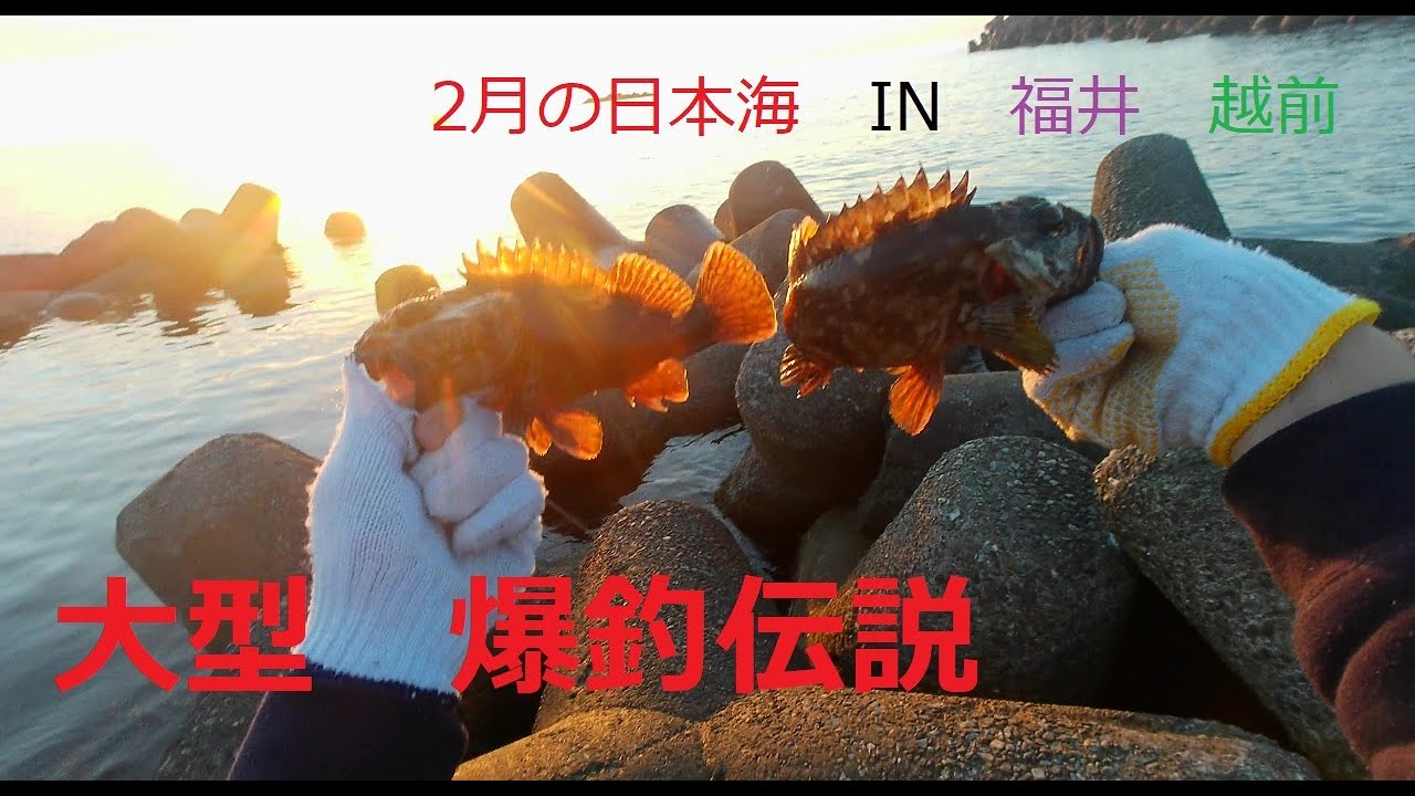 大型　爆釣伝説　IN  越前