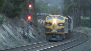 MickFix Rail - Australian Trains - 9162 El Zorro Grain Train (Friday 18th May, 2012)