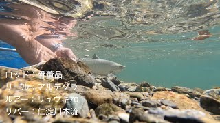 【渓流釣りルアー】渓流釣り探訪記  2022年 No,7  飽きるまでやります