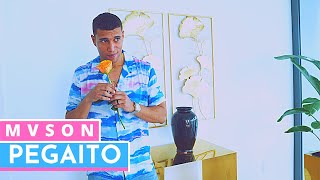 MVSON - Pegaito (Video Oficial)