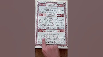تلاوة عطرة من سورة الفيل