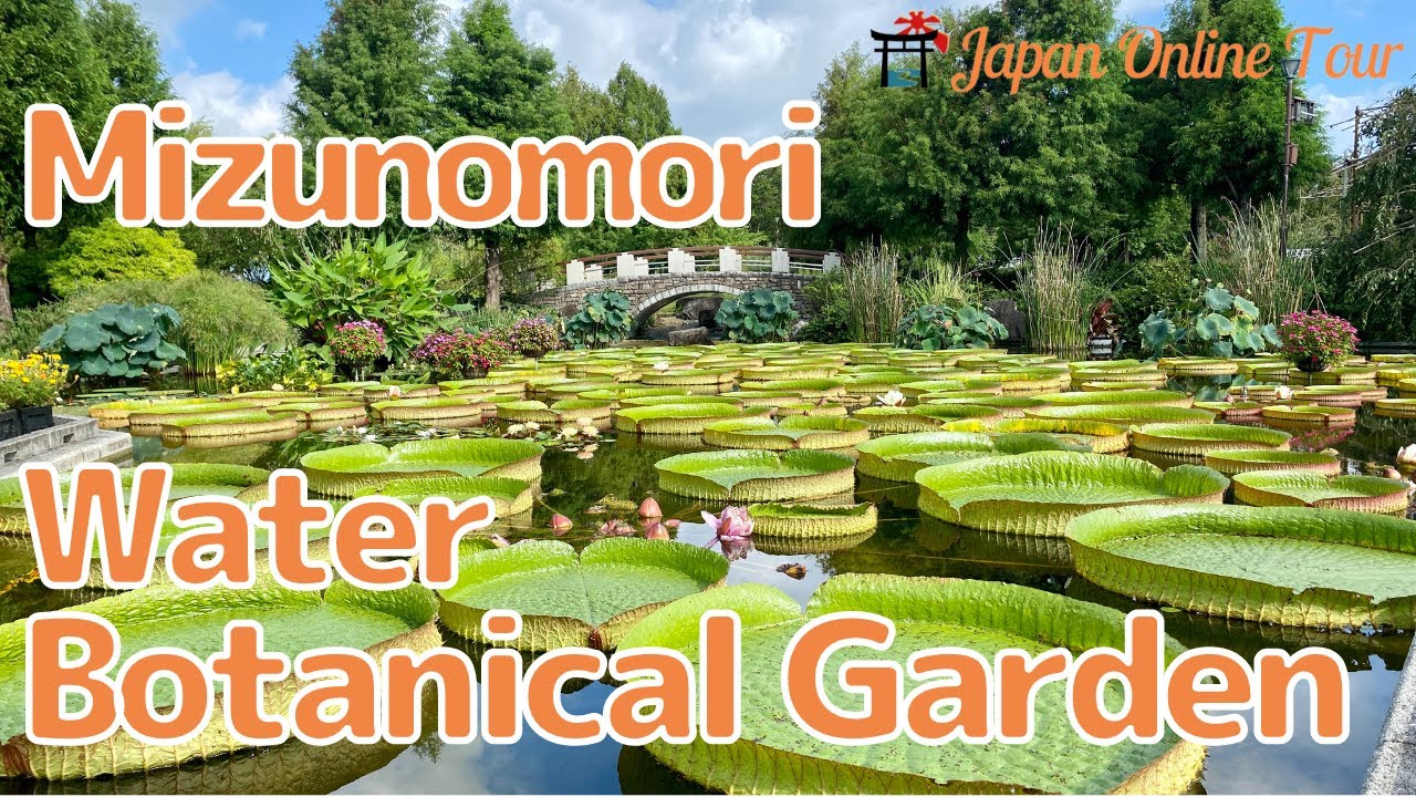 Mizunomori Water Botanical  Garden【Japan Online Tour】| See Description for more Online Tour Details!