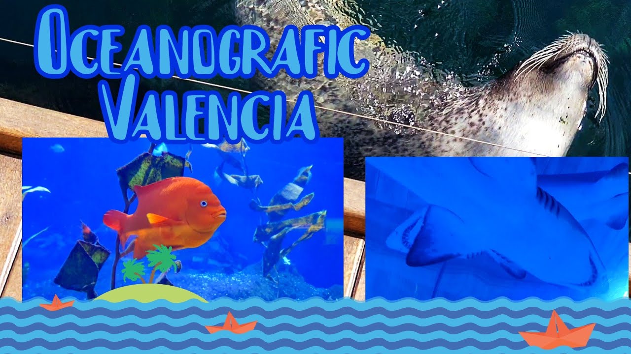 Oceanografic Valencia - Acuario más grande de Europa - YouTube