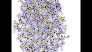 Electron density map obtained by X-ray crystallography