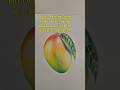 Dibujando un Mango Paso a Paso #mango #dibujo #drawing #art