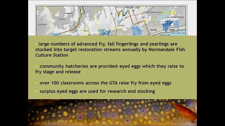 Scotty boxes: Experiences using in-stream incubato...