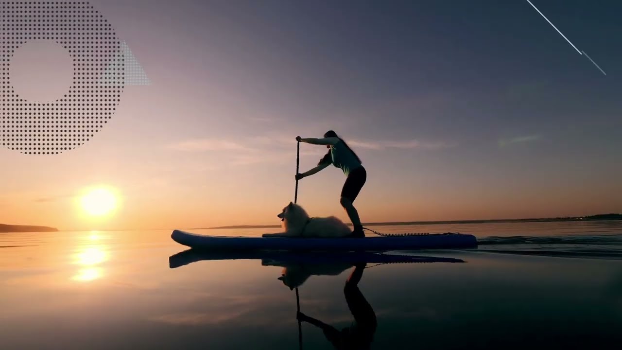 Best Sources of Trace Minerals for Dogs