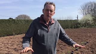 Planting A New Parterre Garden