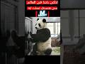 اذكى باندا فى التاريخ مش هتصدق عملت إيه 
