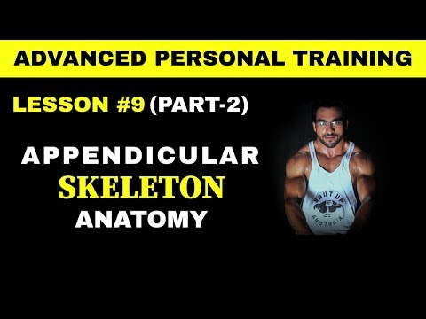 APPENDICULAR SKELETON || अप्पेंदिकुलर  स्केलेटन || skeleton anatomy