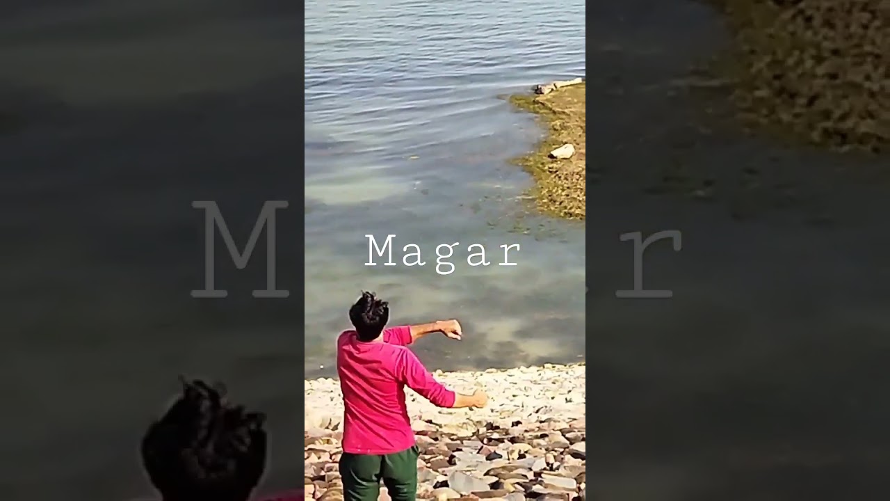 Chanderi Rajghat dam magar.      