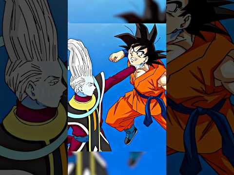 Goku Vegeta Fight Whis 