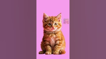 Bleh!!  #ai #cat #funny #cute  #aiart #cartoon #aiartmodellookbook #catvideos