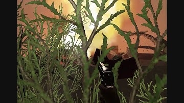 Far Cry 2 - Custom Map [HD]