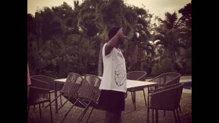 Famous Gorillaz in Jamaica 16/08/2016 Net Worth