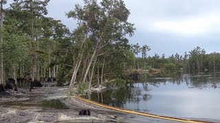 Bayou Corne - Forgotten Bayou, Beating The Heart Attack Gene, Dr. Nick on better Communication