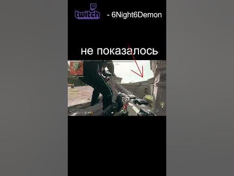 мышь крадется #shorts - YouTube