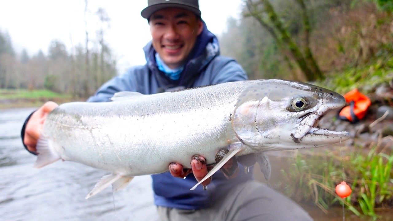 Oregon Coastal Steelhead Solo Adventure - Shockingly Fast Results