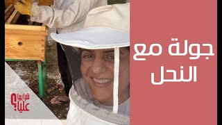 جولة مع النحل. ما لا تعرفه عن النحل والعسل الأخلاقي وحاجة البيئة والإنسان للنحلة A tour w/the Bees