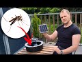 Comment tuer les larves de moustiques  pige larvocide