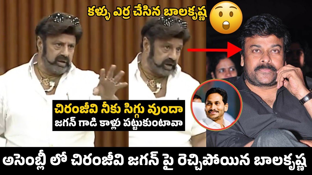 Balakrishna Fire On Chiranjeevi And Ys Jagan In Assembly | Chiranjeevi | TDP | Ap Politics 