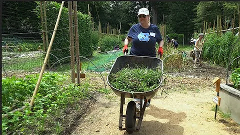 Community Service Leave Helps UNC Staff Give Back