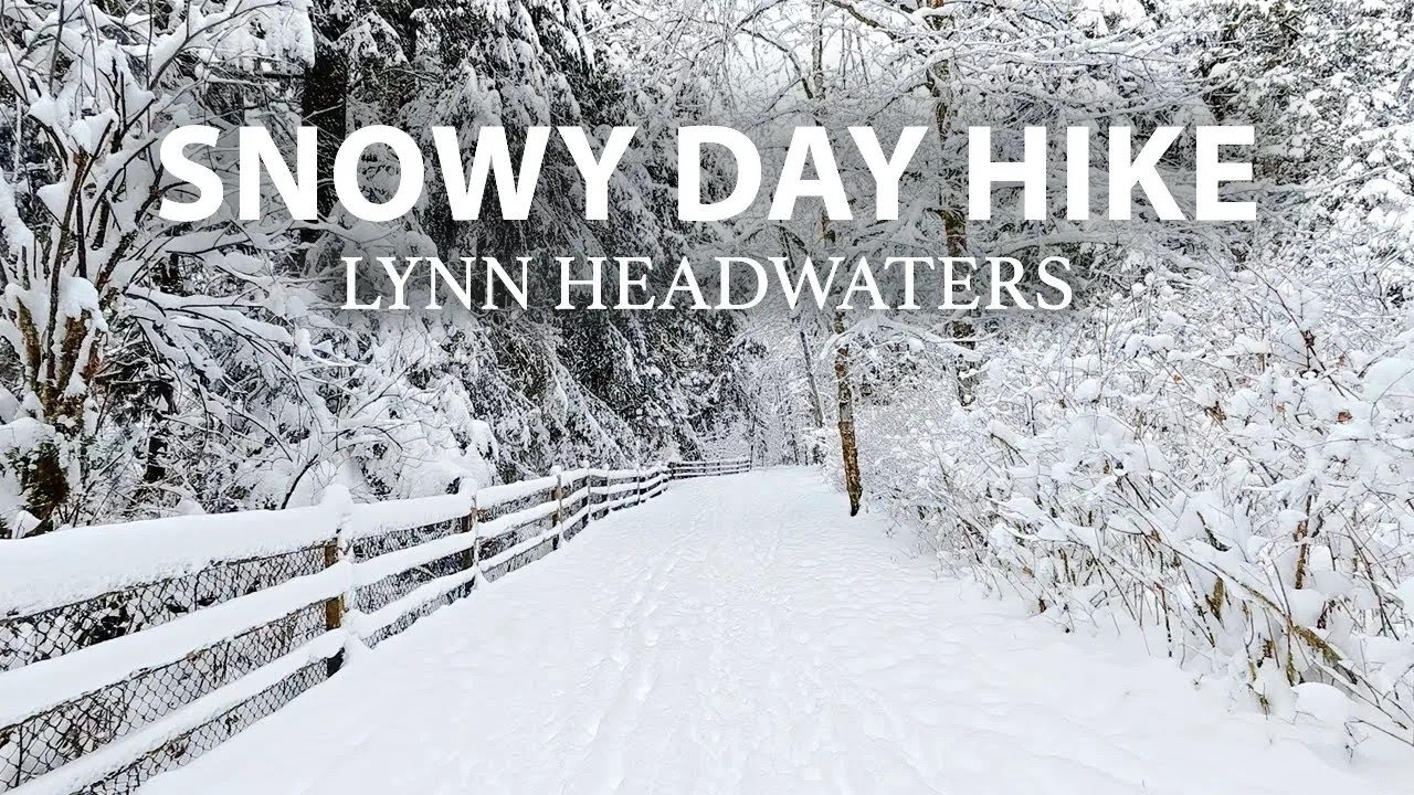 Magical Winter Wonderland: A Serene Snow Hike at Lynn Headwaters Park, North Vancouver BC Canada