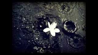 Bliss-Reveal Featuring Lisbeth Scott