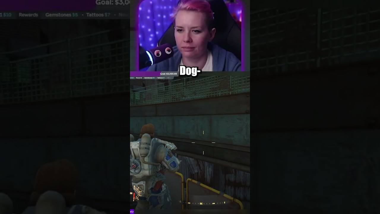 Dogmeat, you good there?