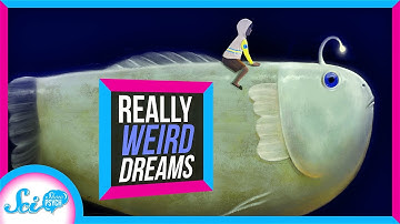 Why Is Everyone Having Vivid Dreams Right Now?