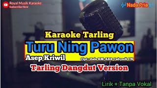 KARAOKE TURU NING PAWON //Nada pria|| royal musik karaoke