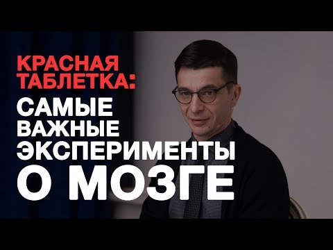 Эксперименты из «Красной таблетки». Встреча с участниками Академии смысла.