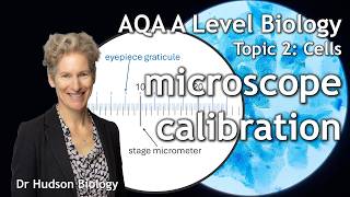 Full 2.5 Microscope calibration: eyepiece graticule and stage micrometer | AQA A Level Biology (3.2.1) News