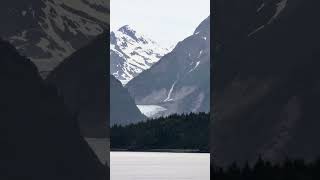 Another Glacier spotted #carnivalluminosa #glacier #alaska