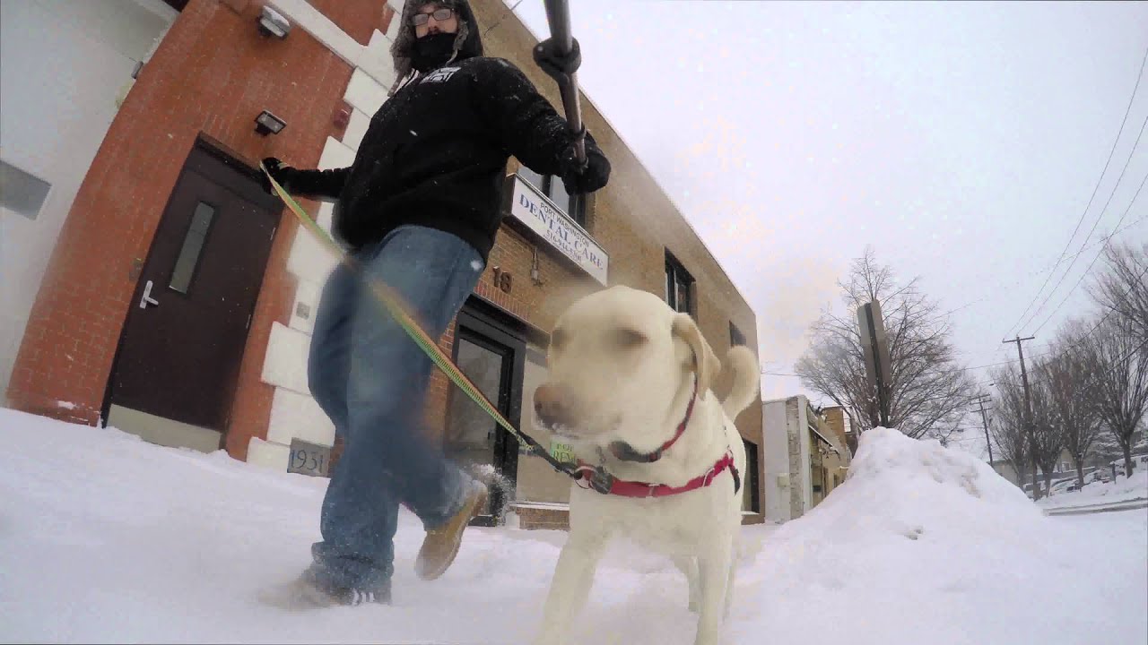 puppy paradise A Walk with Ginger GoPro HD