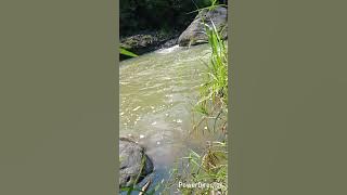 MANCING UCENG WADER DI ARUS DERAS