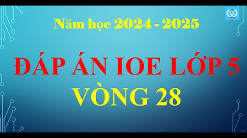 Đáp án IOE lớp 5 - Vòng 28 (Năm học 2024 - 2025)