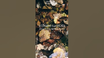 انما التوبه على الله قرآن كريم السعودية مكة الرياض اليمن صنعاء عمان قطر دبي مصر الجزائر المغرب روسيا
